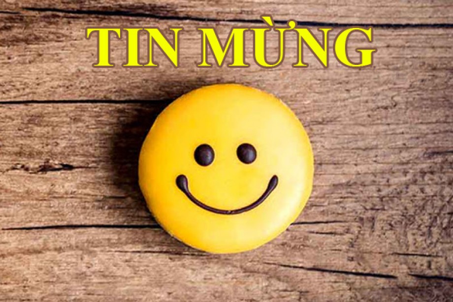 59/2020/CV- HoREA, ngày 28 tháng 05 năm 2020 về nội dung Dự thảo Nghị định sửa đổi, bổ sung một số Nghị định quy định chi tiết thi hành Luật Đất đai
